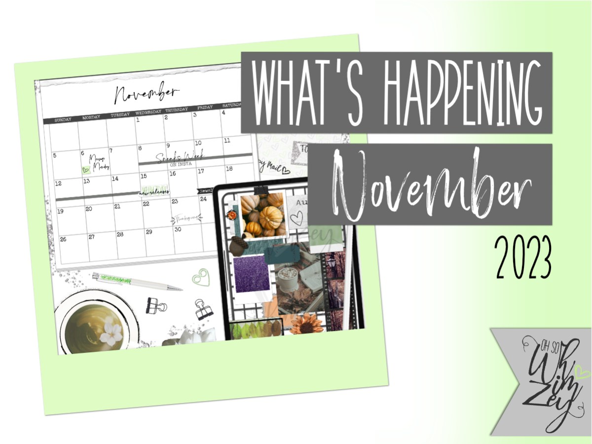 2023 November Content